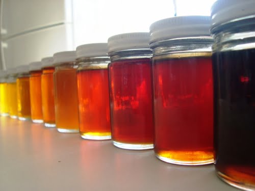 Venezuela tiene más de 15 tipos de miel