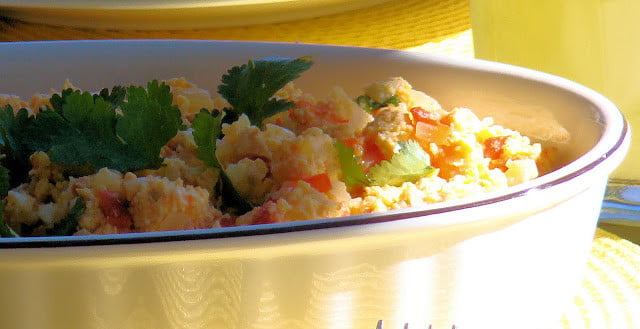 No es un ave, es un perico