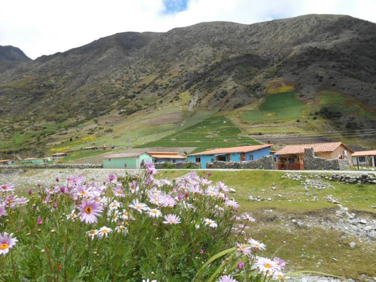 ¿Por qué en Mérida sí comí bien?