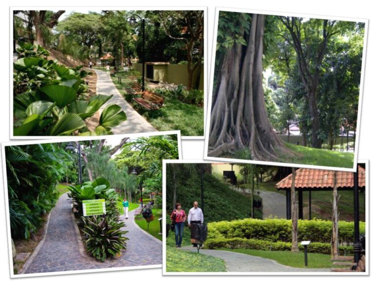 Parque Boyacá: el jardín más grande del rosal