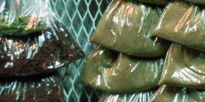 Adobo con gusto y vergüenza