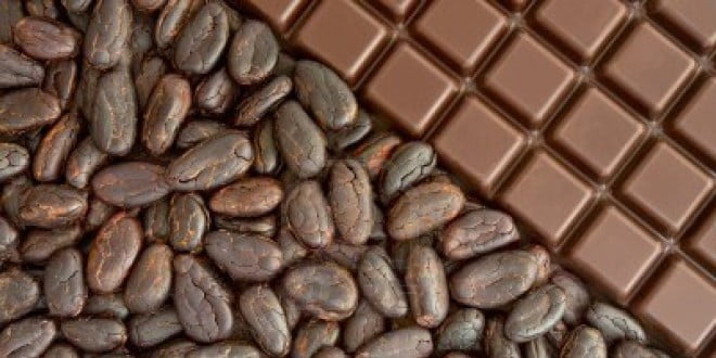 «Bean to bar» se pronuncia en español (II parte)