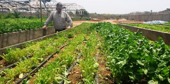 Los jardines colgantes de Sergio Somov en Margarita
