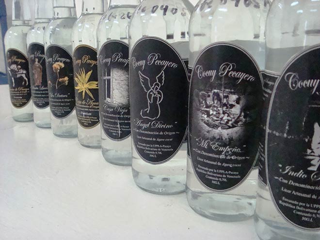 Cocuy, profeta en su tierra