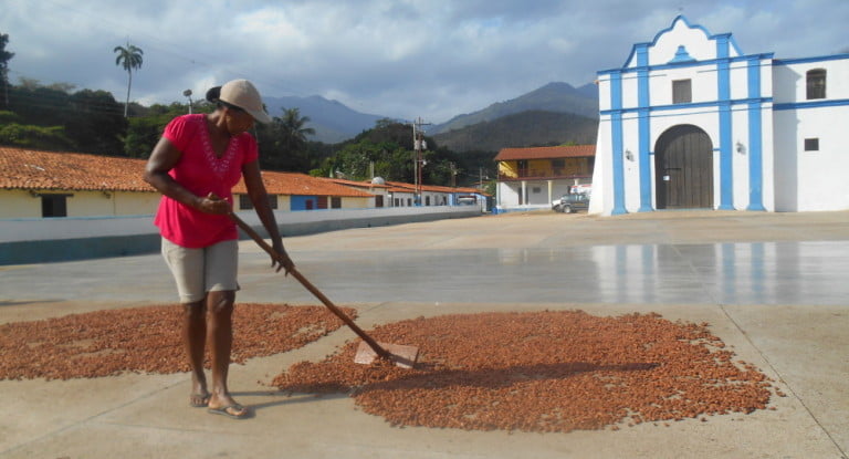 ¿Qué sabor tendrá el 2016?