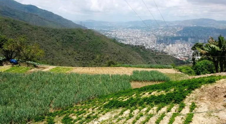Caracas, ¿Km. cero?