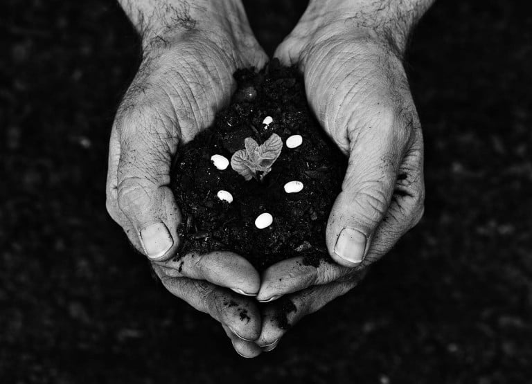 Basque Culinary Center premia «iniciativas transformadoras»