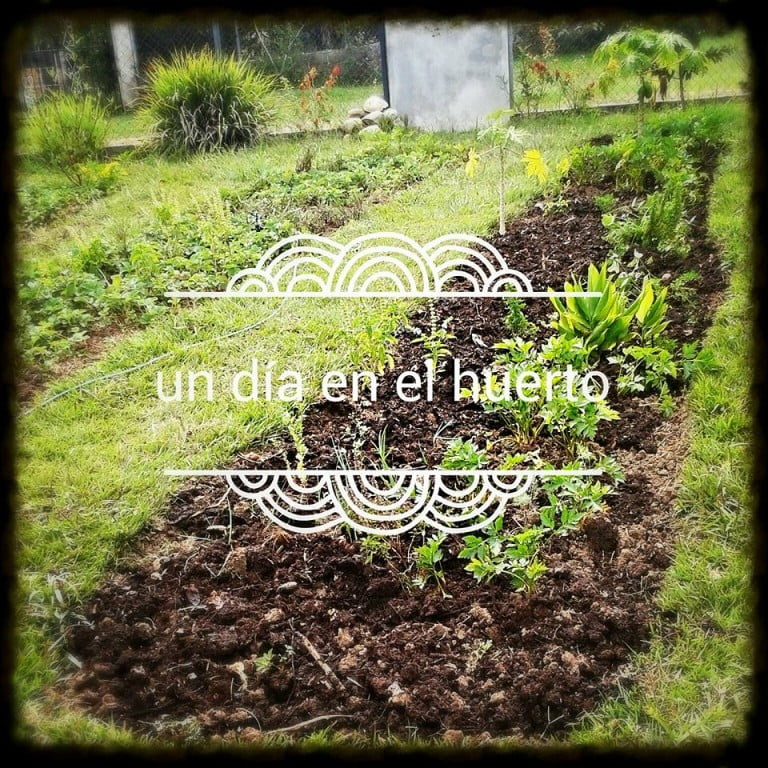 Una tarde en el huerto  de La Casa del Viento en Mérida