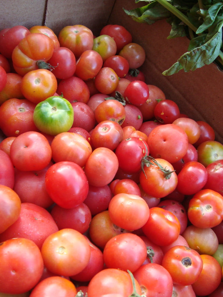 Los venezolanos no sabemos comer