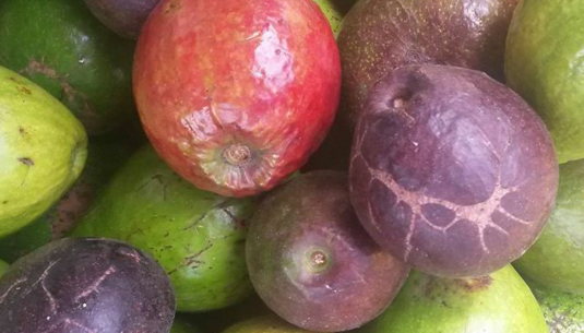 ¿Venezuela  tiene sabor ecológico?