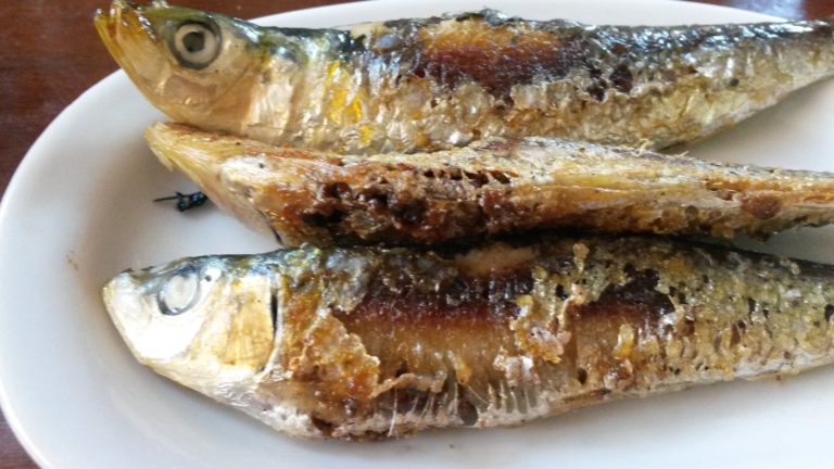 Sardinas, ¡las malqueridas!