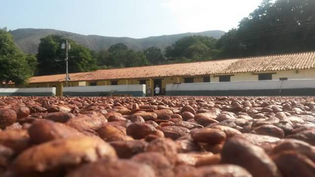 El cacao ya tiene su segunda D.O.C
