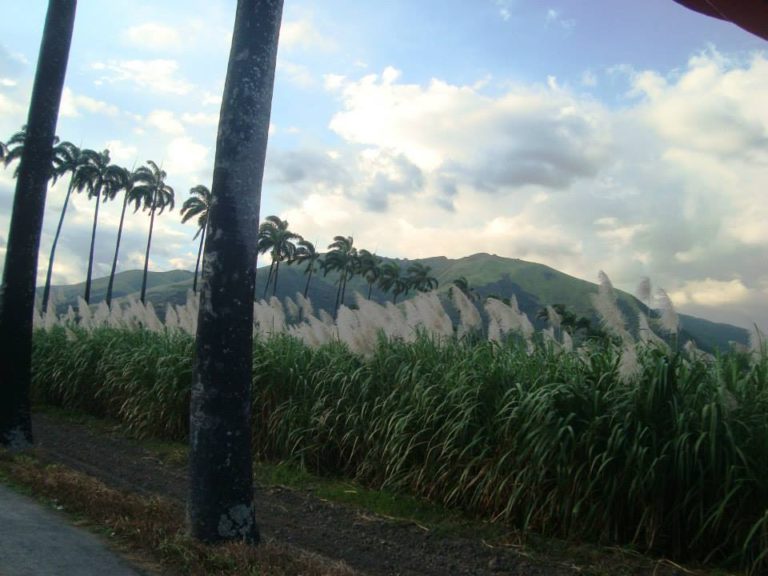 Santa Teresa y los 220 años de la hacienda donde nace un magnífico ron venezolano