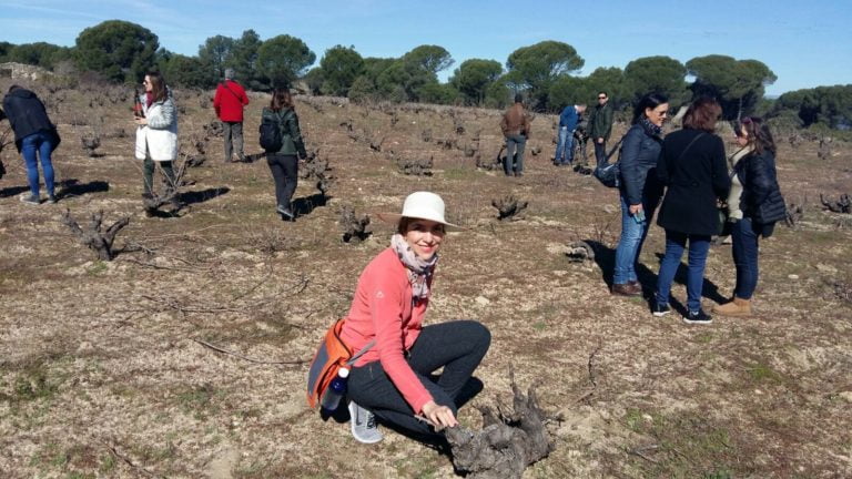 Colorful Wines cata el vino español en 360°