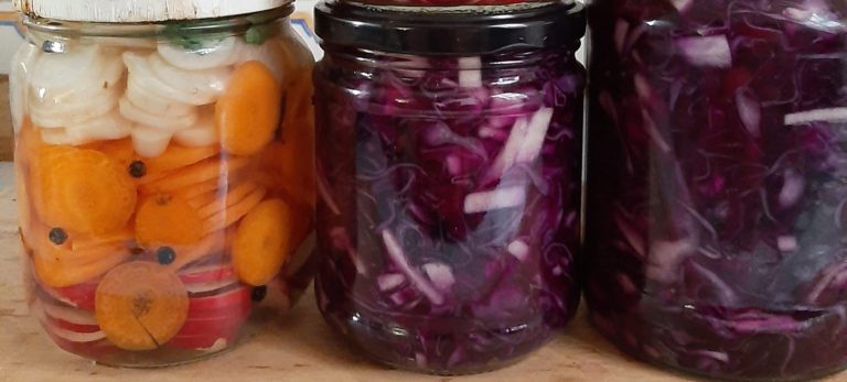 Los fermentos han llenado de vida mi cocina