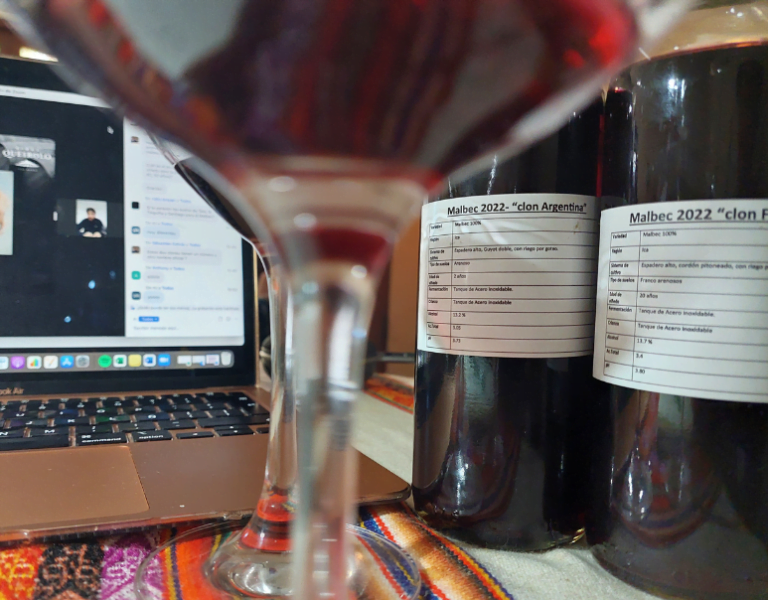 «Perú tendrá un Malbec superlativo», afirma enólogo Luis Gómez