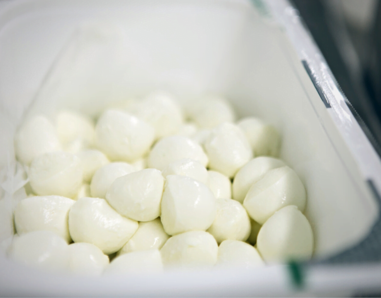 ANPADLAC dictará curso de elaboración de quesos para evitar que productores boten la leche cruda. Info aquí.