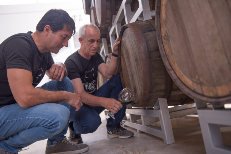 Cervercería 7 VIDAS galardonada como la mejor de América en 2023