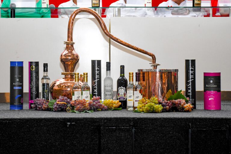 VII Edición Festival de la Vendimia Paracas será fiesta de tres días